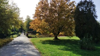 It's an unwelcome Monday, but it's so beautiful - My Actifit Report Card: October 13, 2025
