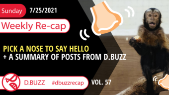 Recap of this Week's Posts by D.Buzz Vol.57