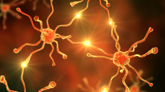 Neuropsychological Conditions: What Are They and How Do They Affect Us