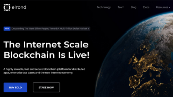 Elrond and The Internet Scale Blockchain