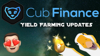 Goose Finance Big Change and Cub Finance Building a Bridge To Profit