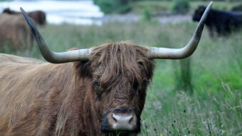 The Coming Months Are Going To Be Bullish !