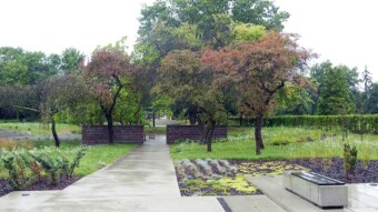 Another day just walking, rain, rain, rain - My Actifit Report Card: August 6 2023