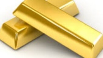 Stability; One of the Strong Virtues of Digital Gold