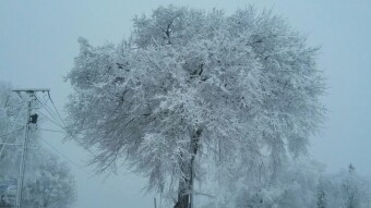 Big Heavy Snow hits the North East
