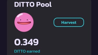 I don't want no thugs or drugs, but I really do want to catch some Ditto