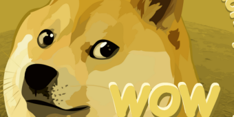 D is for DOGE