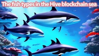 The fish types in the Hive blockchain sea