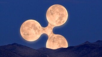 Who is Ripple and what is Ripples XRP? XRP/BTC theory part 3