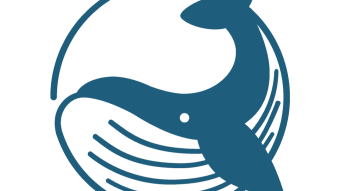 A calm before the storm ?. Crypto Whales decreased their actions this weekend.