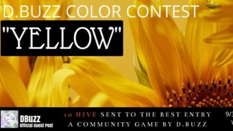 D.BUZZ COLOR CONTEST : Round 3 : YELLOW