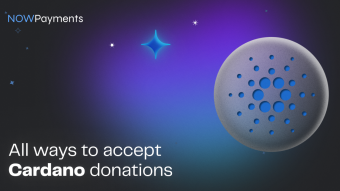 Maximizing Your Impact: A Guide to Cardano Donations on NOWPayments