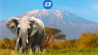 IS DASH THE CRYPTOCURRENCY FOR AFRICA???