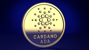 Cardano has become a growth leader. The head of the project announced an important news