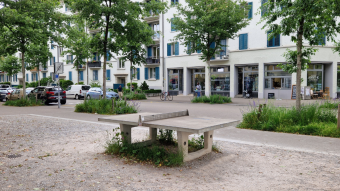 Outdoor Ping-Pong Tables Creating Community
