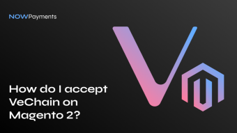 Benefits of accepting VeChain on Magento 2