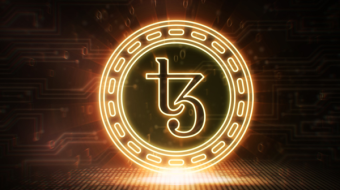 The crypto Wild West / my fight against Tezos (XTZ) Dynamic ledger solutions and the path to a 25 million$ settlement