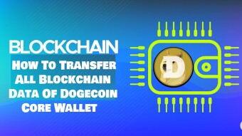 How To Transfer All Blockchain Data Of Dogecoin Core Wallet | Transfer Wallet.dat