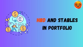 Stable Anchor in Crypto Bag