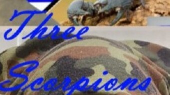 Three Scorpions