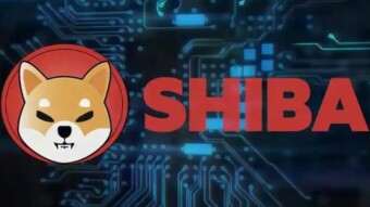 SHIBA according to ChatGPT