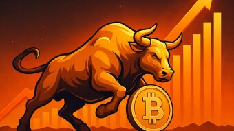 $115,000 and $223,000: Technical Analyst Identifies Long-Term Resistance Levels for Bitcoin Price