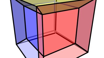 Higher, Lower, and Local dimensional beings in the Universe: Supersensitive Micro-macro Organisms