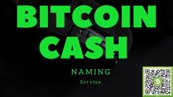 Boosting Reputation and Credibility with CASH ACCOUNTS in the Bitcoin Cash Network.