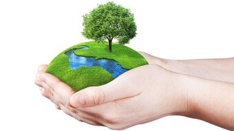 Easy Ways to Celebrate Earth Day