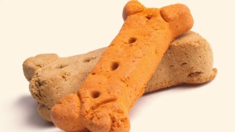 A Simple 30 Minute Dog Biscuit Recipe From Just 6 Ingredients!