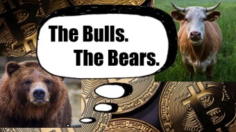 Being A Bull During A Bear Market