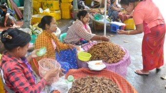 Eating Fried Crickets in Yangon, Myanmar