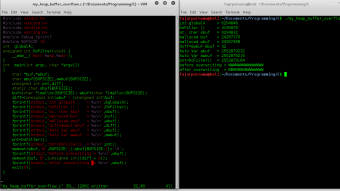 My Simple C Program Demonstrating Heap Buffer Overflow
