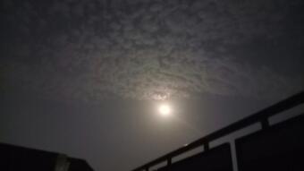 Night clicks