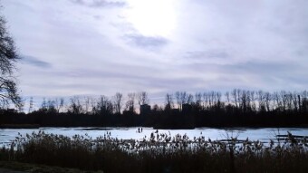 An exceptionally warm and spring-like Thursday - My Actifit Report Card: February 12, 2026