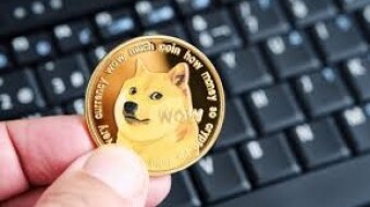 Dogecoin (DOGE) Cryptocurrency Explained & All Micro-Earning Sites I've Reviewed thus Far to Earn Free DOGE Crypto