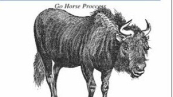 eXtreme Go Horse (XGH)