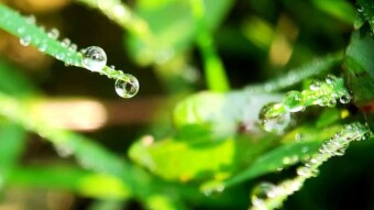 WATER DROPS Photography.