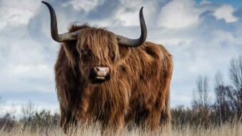 Learning Technical Analysis #4 | Bullish Patterns