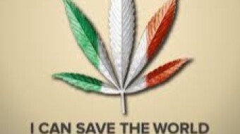 HEMP TOUR