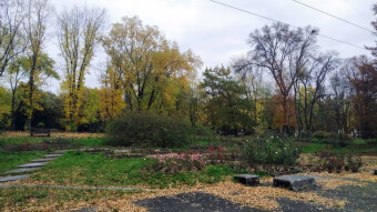 An optimistic, very autumnal Tuesday