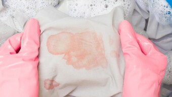 The Stain