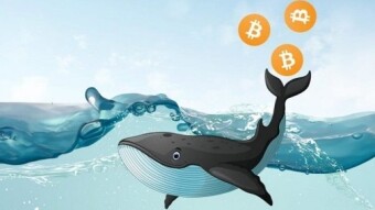 Who Are Bitcoin Whales? Do They Affect The Market?