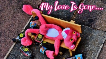 Not Love Songs