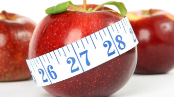 The Difference between Quantitative Variables and Qualitative Variables