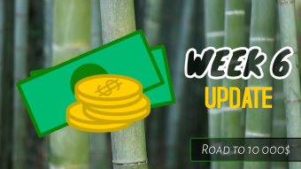 Week 6 Update