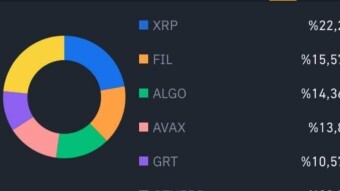 Altcoin portfolio short & long term