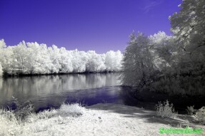 Ultraviolet and Infrared Photography - Chattahoochee River and surrounding trees