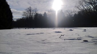 On a minus 10-degree day? And yet - My Actifit Report Card: February 1, 2026