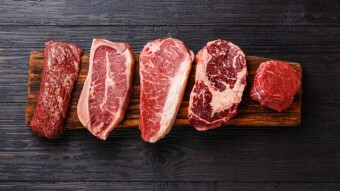 Carnivore Diet: Recovery and Performance, Part 3